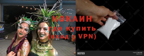 гашик Инсар