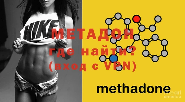 ПСИЛОЦИБИНОВЫЕ ГРИБЫ Инта