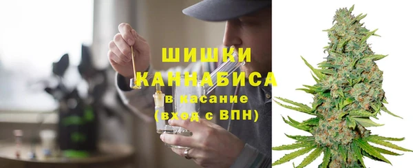 ПСИЛОЦИБИНОВЫЕ ГРИБЫ Инта