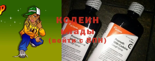 ПСИЛОЦИБИНОВЫЕ ГРИБЫ Инта