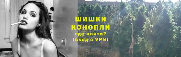 гашик Инсар