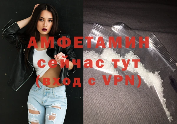 ПСИЛОЦИБИНОВЫЕ ГРИБЫ Инта