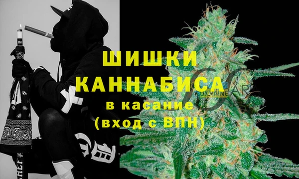 гашик Инсар