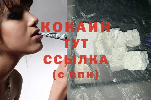 гашик Инсар
