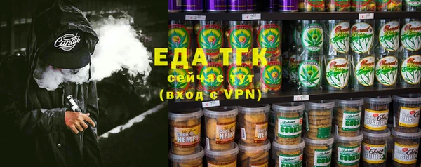ПСИЛОЦИБИНОВЫЕ ГРИБЫ Инта