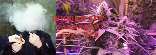 гашик Инсар