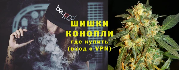 гашик Инсар