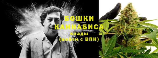 ПСИЛОЦИБИНОВЫЕ ГРИБЫ Инта