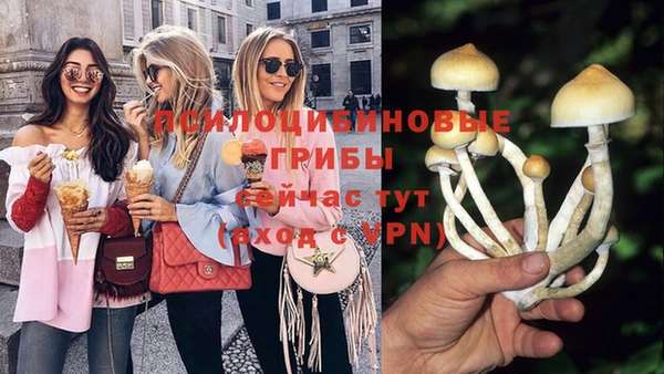 гашик Инсар
