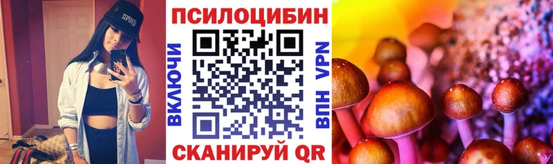 Галлюциногенные грибы Magic Shrooms  Купить где  Остров 
